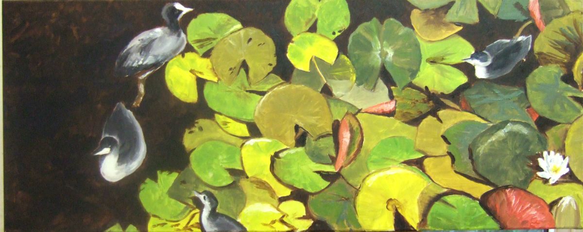 15_waterlelies_en_-kipjes