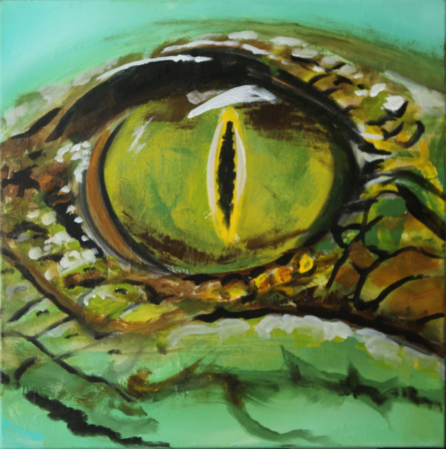 18-14 Slangeoog doos 15