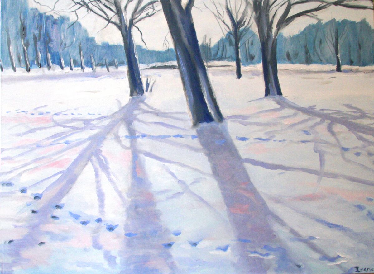 19_winter_Amsterdamse_bos